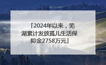 2024年以来，芜湖累计发放孤儿生活保障金2758万元