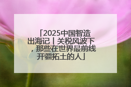 2025中国智造出海记丨关税风波下，那些在世界最前线开疆拓土的人
