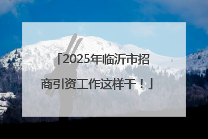2025年临沂市招商引资工作这样干！