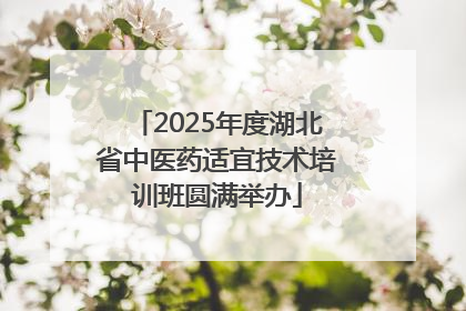 2025年度湖北省中医药适宜技术培训班圆满举办