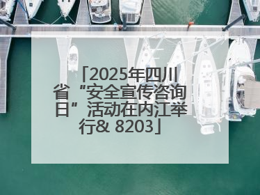 2025年四川省“安全宣传咨询日”活动在内江举行& 8203