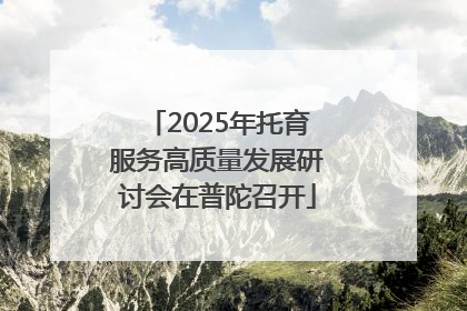 2025年托育服务高质量发展研讨会在普陀召开