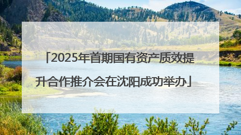 2025年首期国有资产质效提升合作推介会在沈阳成功举办