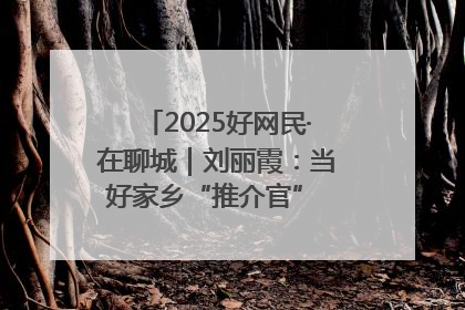 2025好网民·在聊城｜刘丽霞：当好家乡“推介官” 秀出乡村新风貌