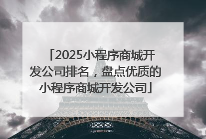 2025小程序商城开发公司排名，盘点优质的小程序商城开发公司