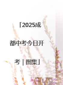 2025成都中考今日开考｜图集