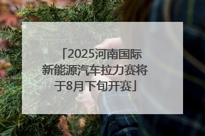 2025河南国际新能源汽车拉力赛将于8月下旬开赛