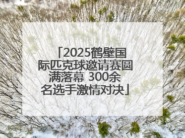 2025鹤壁国际匹克球邀请赛圆满落幕 300余名选手激情对决