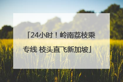 24小时！岭南荔枝乘专线 枝头直飞新加坡