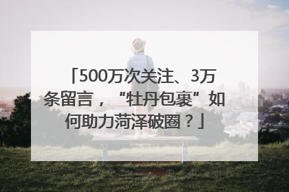 500万次关注、3万条留言，“牡丹包裹”如何助力菏泽破圈？