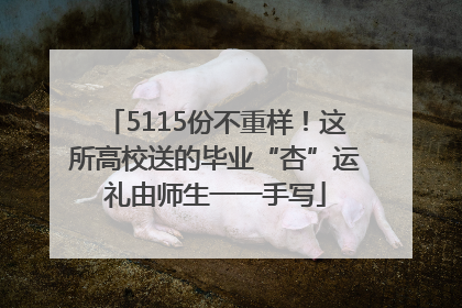 5115份不重样！这所高校送的毕业“杏”运礼由师生一一手写