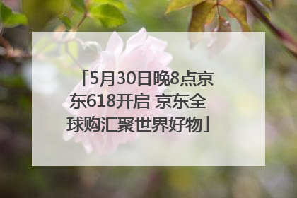 5月30日晚8点京东618开启 京东全球购汇聚世界好物