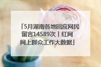 5月湖南各地回应网民留言14589次丨红网网上群众工作大数据