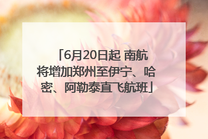 6月20日起 南航将增加郑州至伊宁、哈密、阿勒泰直飞航班