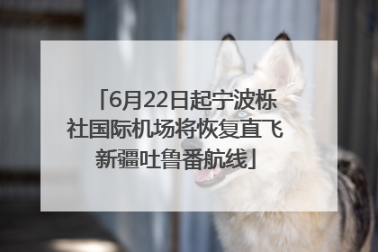 6月22日起宁波栎社国际机场将恢复直飞新疆吐鲁番航线