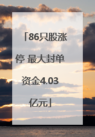 86只股涨停 最大封单资金4.03亿元