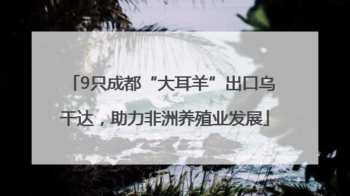 9只成都“大耳羊”出口乌干达，助力非洲养殖业发展