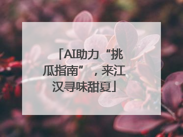 AI助力“挑瓜指南”，来江汉寻味甜夏