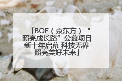 BOE（京东方）“照亮成长路”公益项目新十年启幕 科技无界照亮美好未来