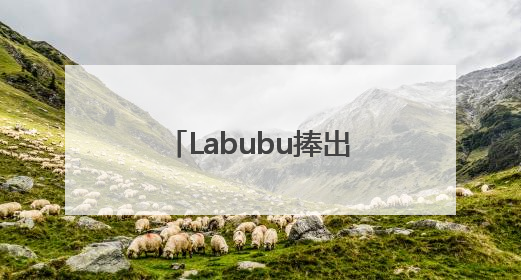 Labubu捧出河南新首富背后，中国已成全球第四大IP零售市场
