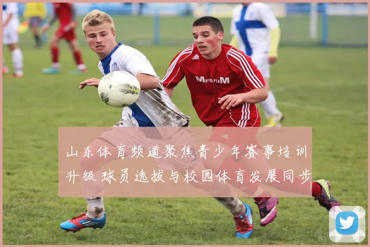 山东体育频道聚焦青少年赛事培训升级 球员选拔与校园体育发展同步推进