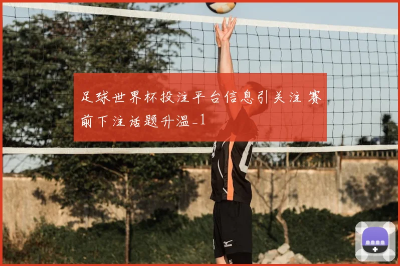 足球世界杯投注平台信息引关注 赛前下注话题升温_1