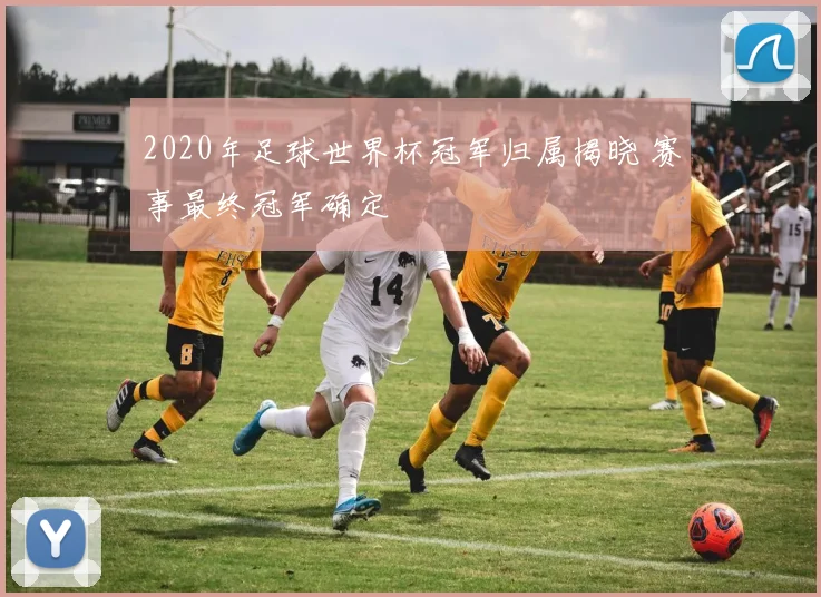2020年足球世界杯冠军归属揭晓 赛事最终冠军确定