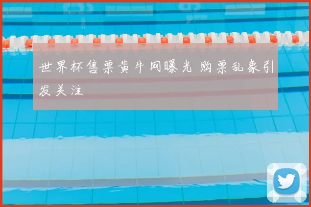 世界杯售票黄牛网曝光 购票乱象引发关注