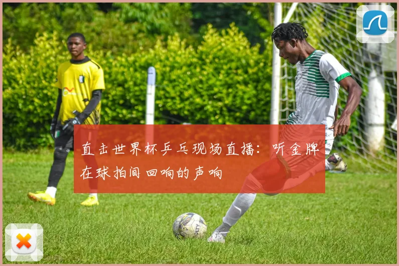 直击世界杯乒乓现场直播：听金牌在球拍间回响的声响