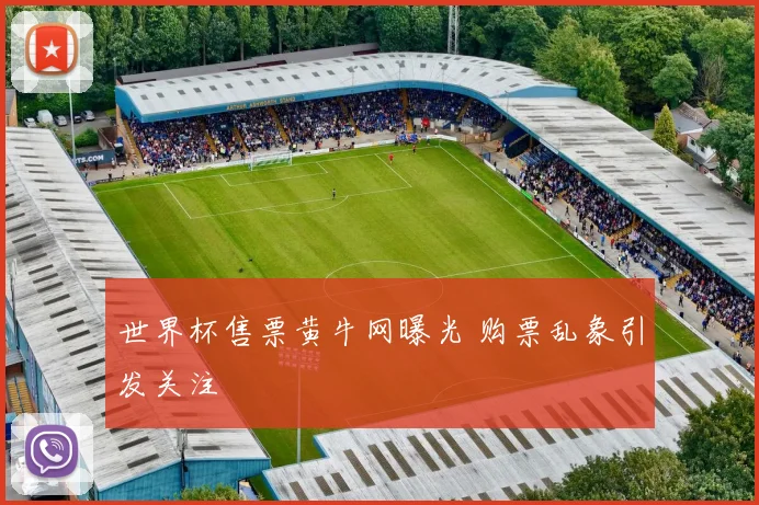 世界杯售票黄牛网曝光 购票乱象引发关注