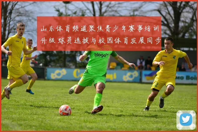 山东体育频道聚焦青少年赛事培训升级 球员选拔与校园体育发展同步推进