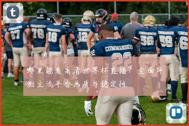 哪里能看高清世界杯直播?全面评测主流平台画质与稳定性