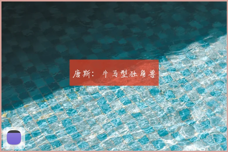 唐斯：牛马型独角兽