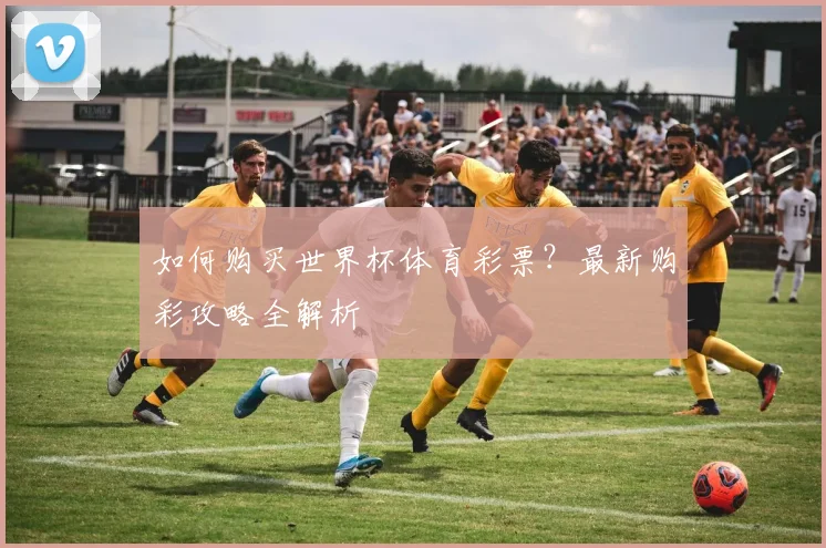 如何购买世界杯体育彩票？最新购彩攻略全解析